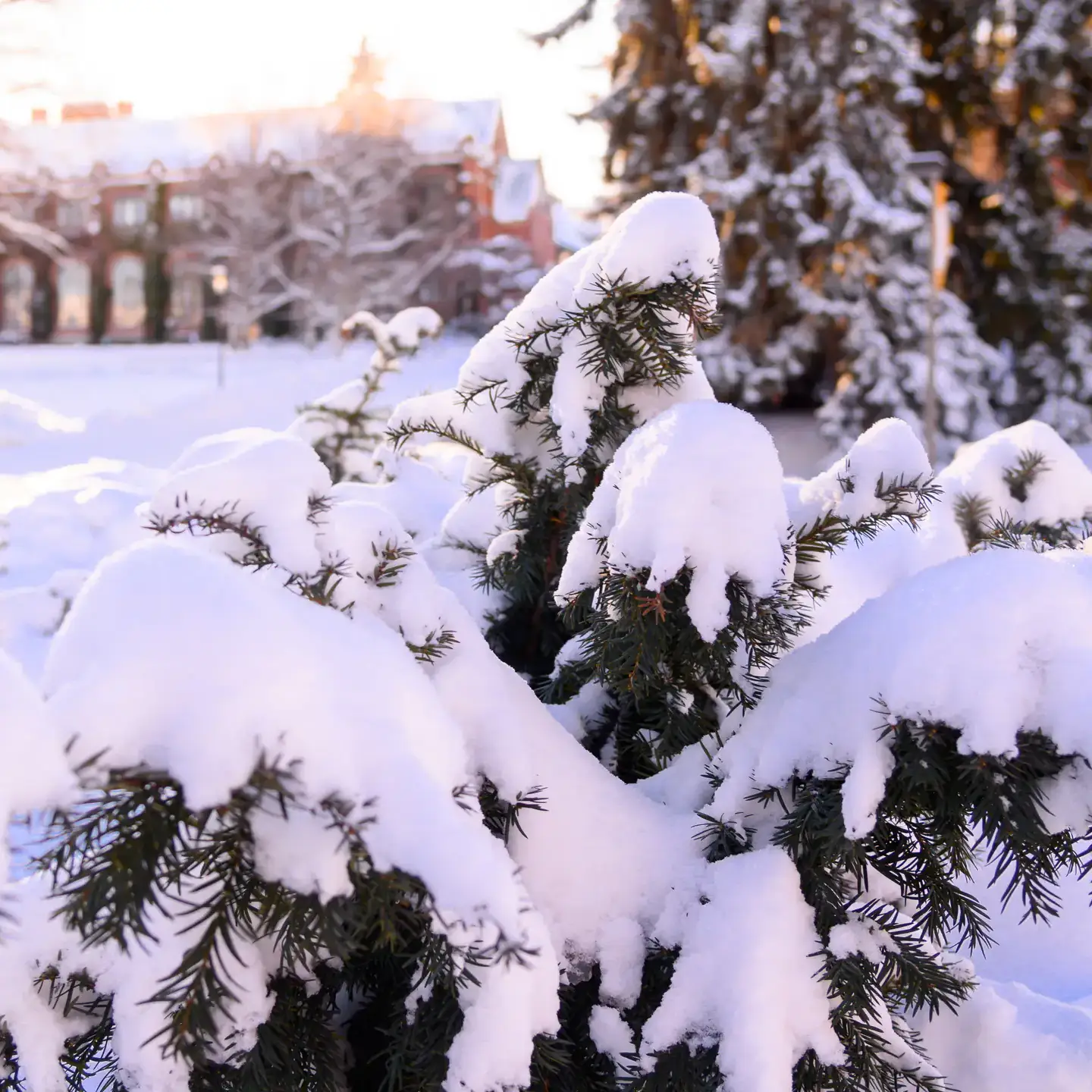 Campus winter stock 2020