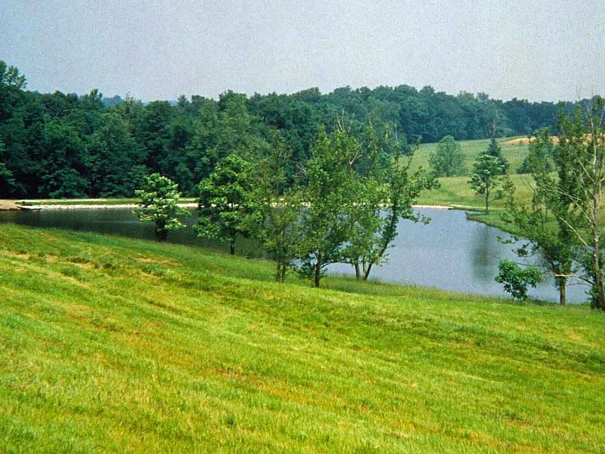 Green grass with a few trees next to a pond.
