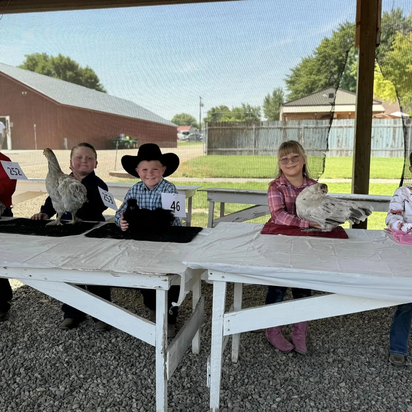 Young children show chickens on table.