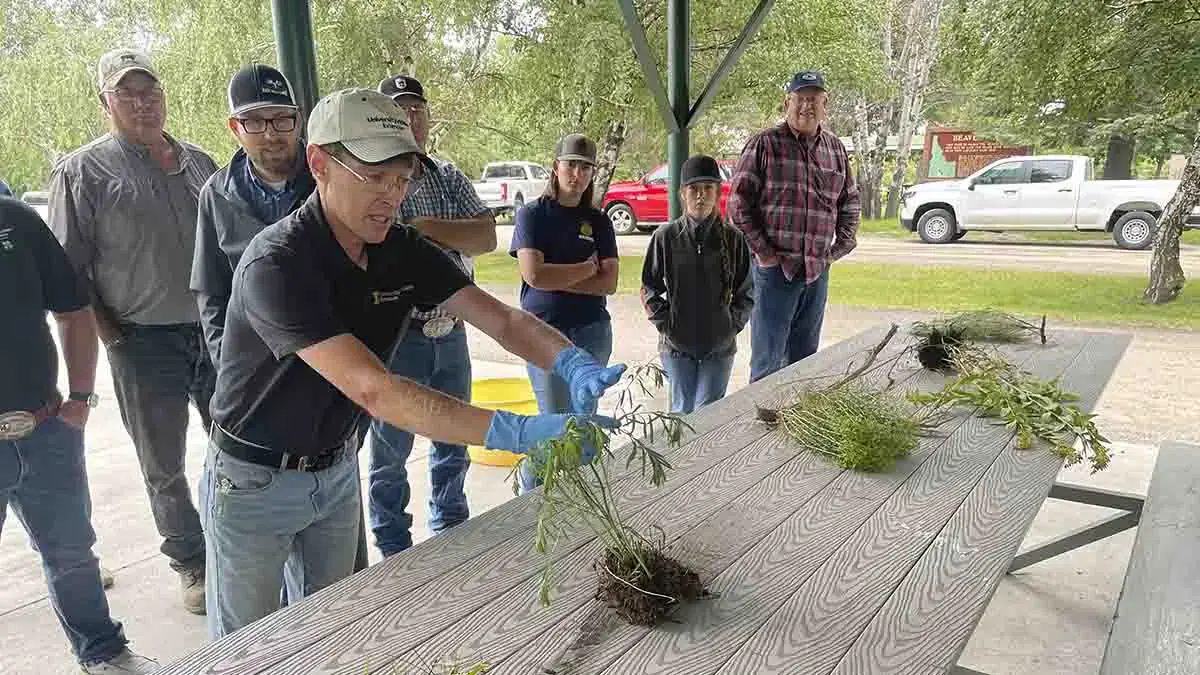 UI Extension program photos and files in counties