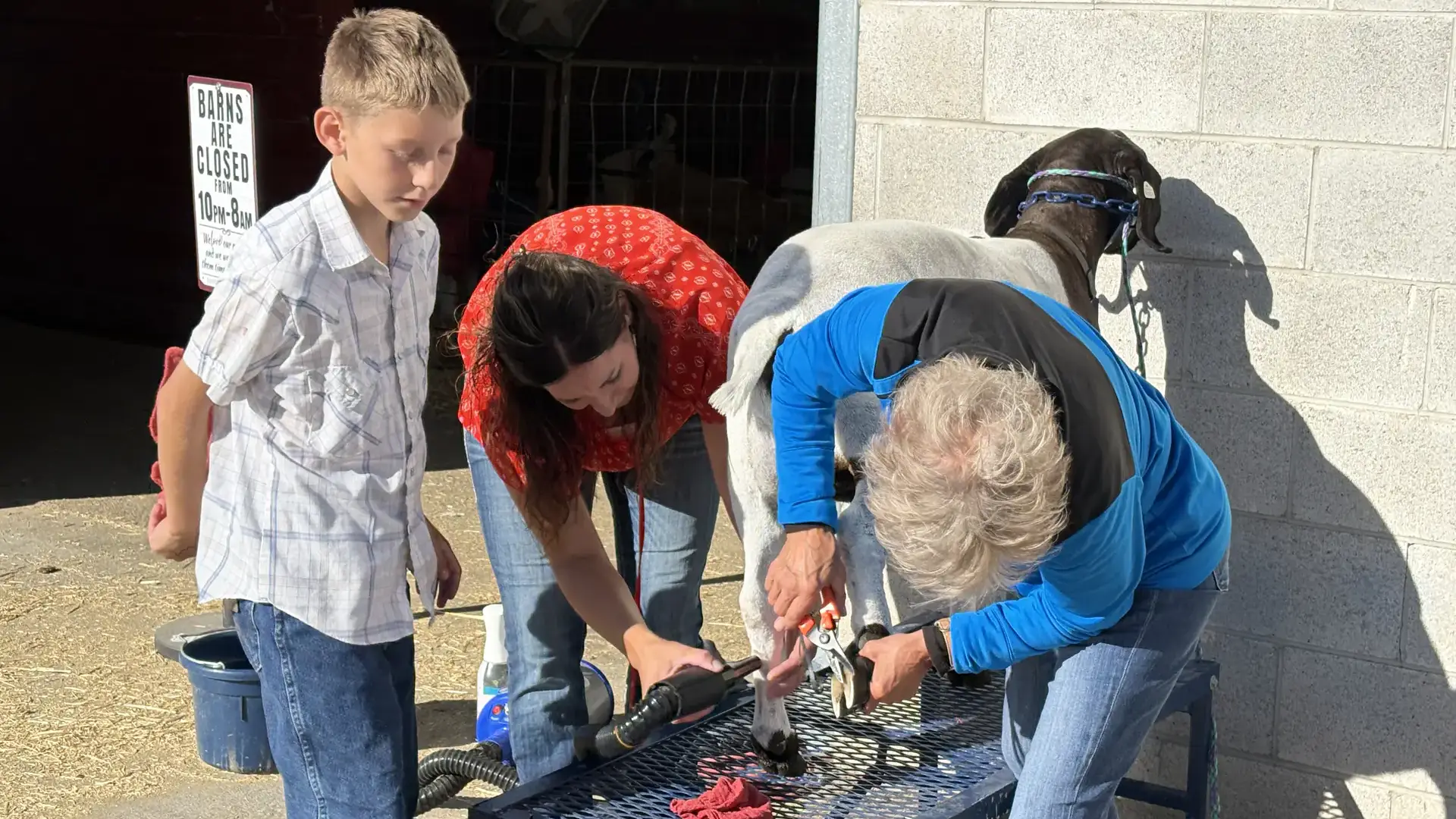 The East Idaho State Fair on Thursday, September 10, 2026. Ridge Sechser watches as Krystal Sechser (middle), and Brenda Lish trim the hooves of a goat named Millie.