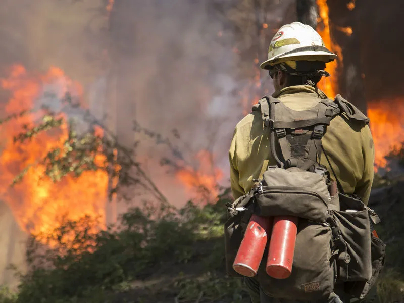 A firefighter looks at a burning forest.