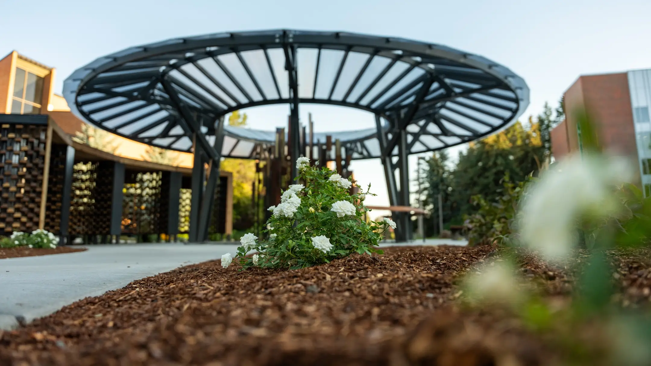 Construction of the Vandal Healing Garden on the University of Idaho Campus.