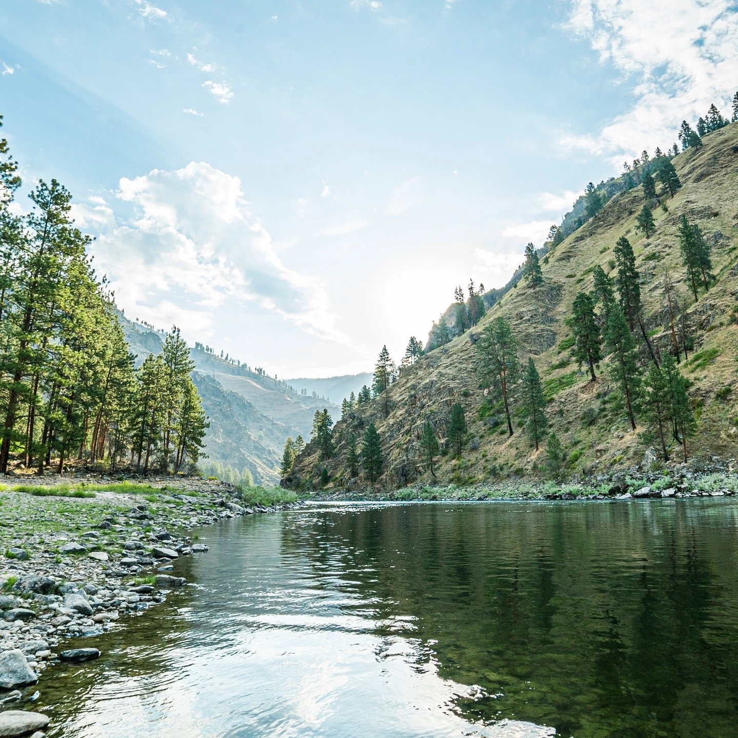 Salmon River at Riggins Idaho