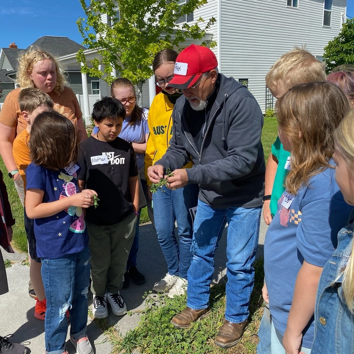 Group of children examine plant matter with adult.