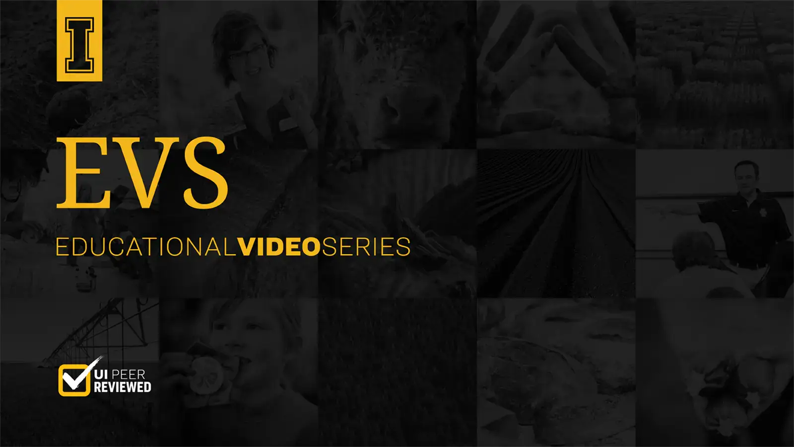 EVS Educational video series cover for a playlist