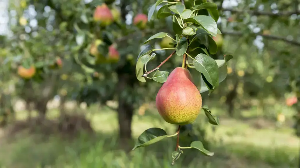 Landscapes and Gardens photos