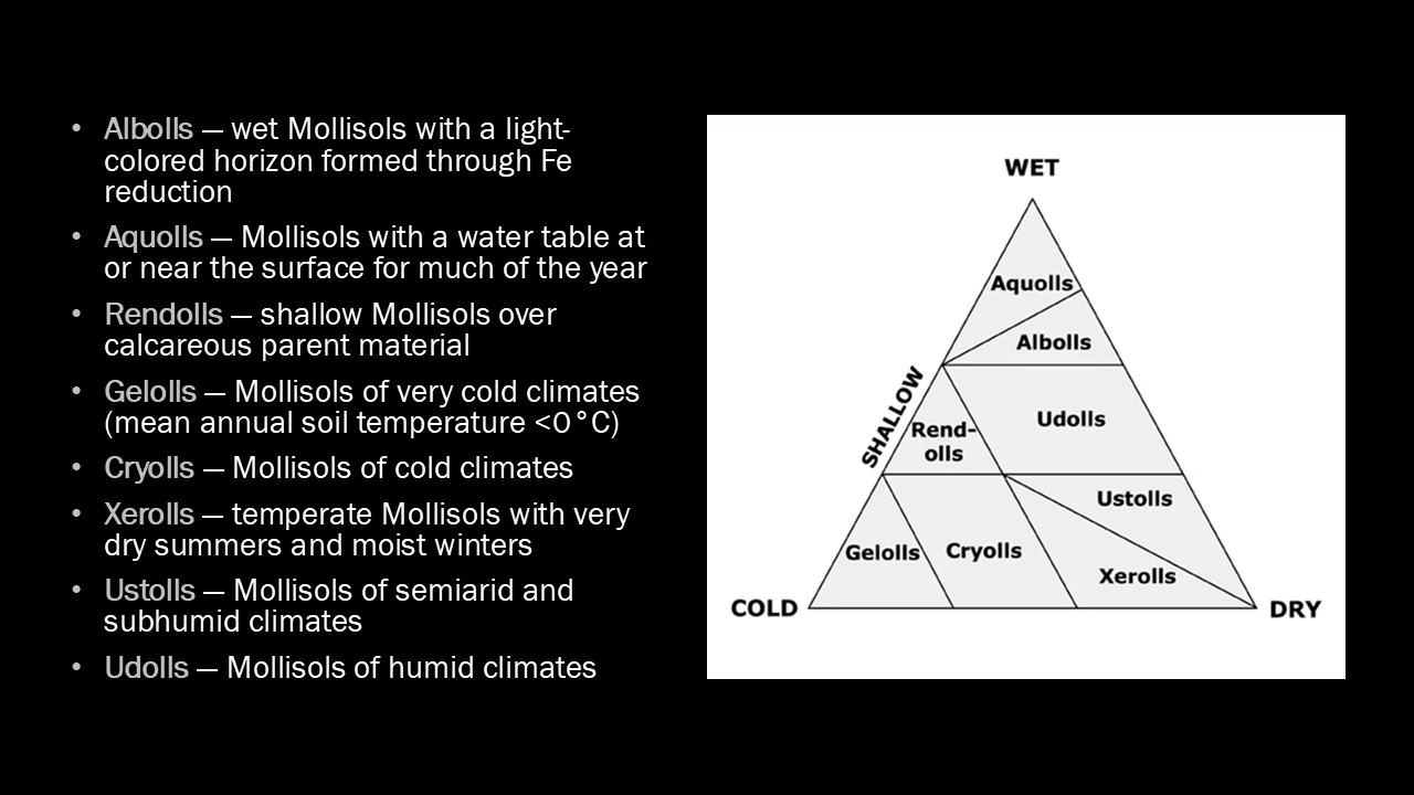 Mollisols diagram plus suborders