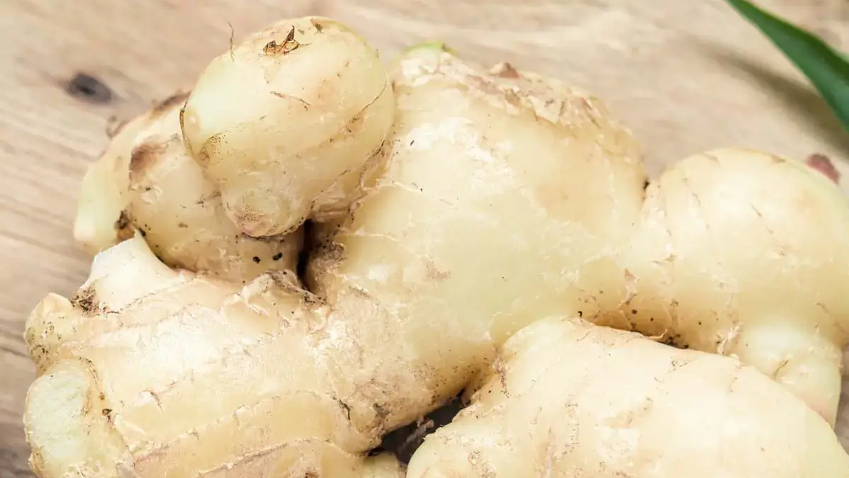 Landscapes and Gardens photos