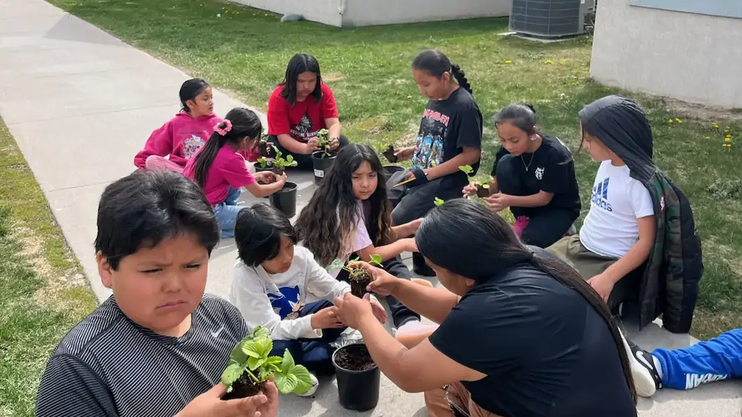 4-H photos and files located in counties