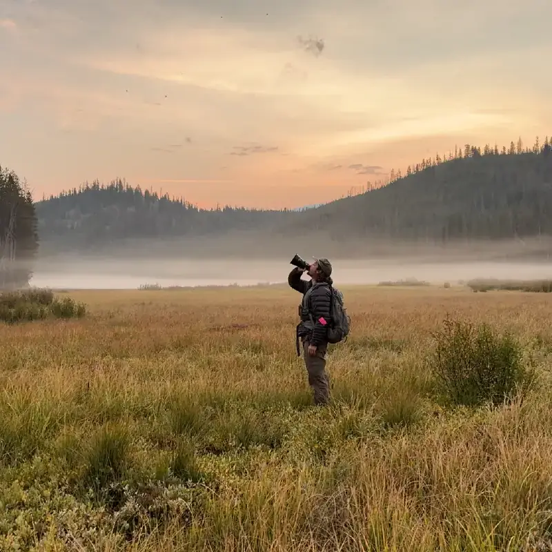 Person stands in misty meadow using a funnel to make wolf sounds.