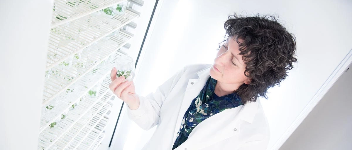 Girl views a refrigerator full of vials