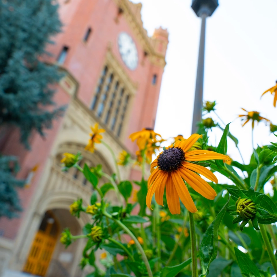 University of Idaho, Seasonal Photos of campus.