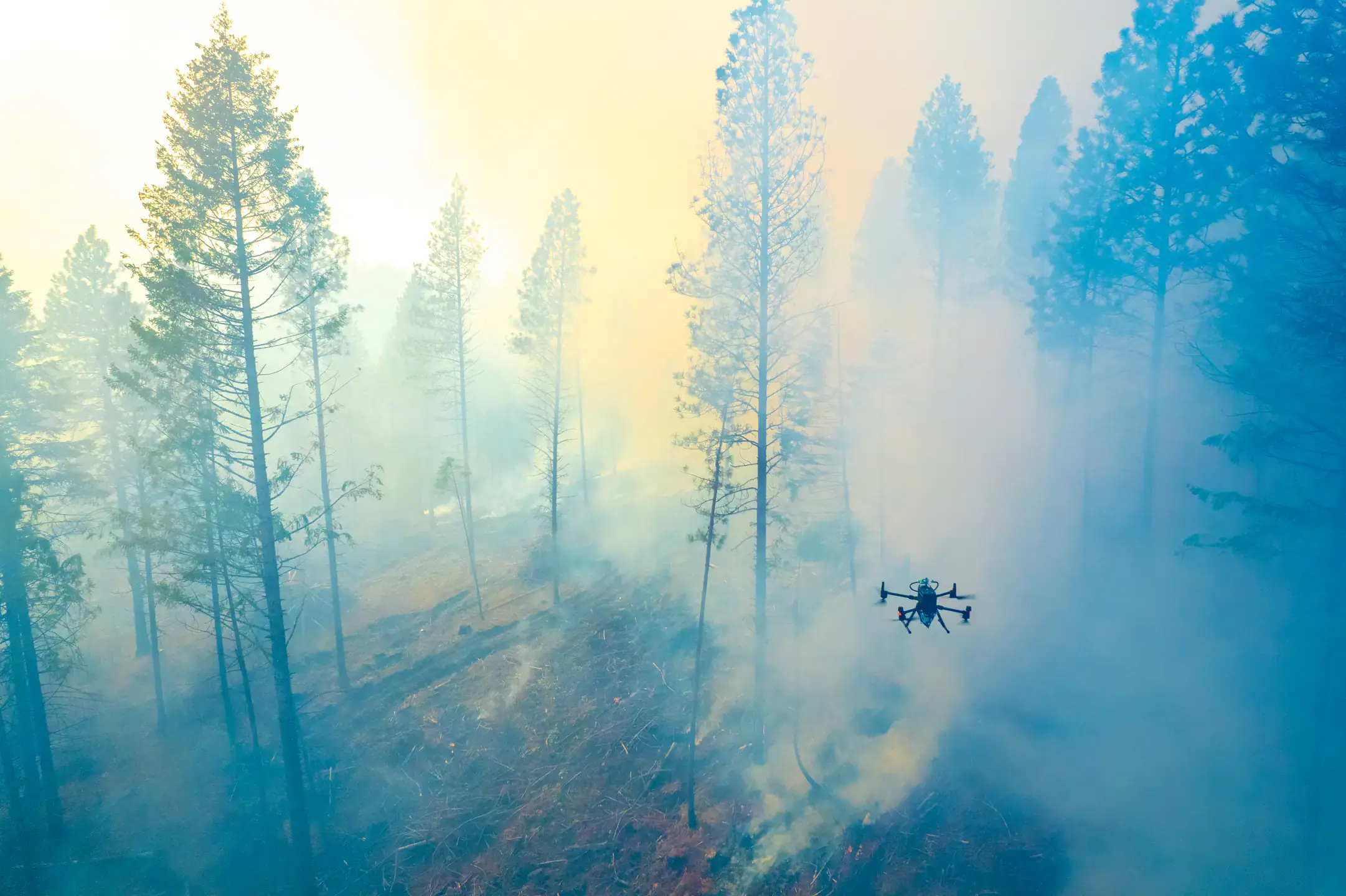 College of Natrual Resource University of Idaho Experimental Forest prescribed burn