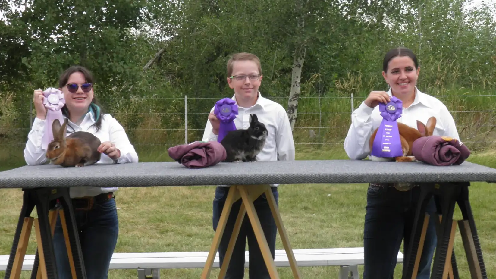 4-H photos and files located in counties