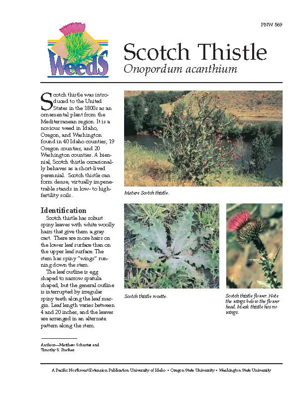 pnw-0569 cover.jpg