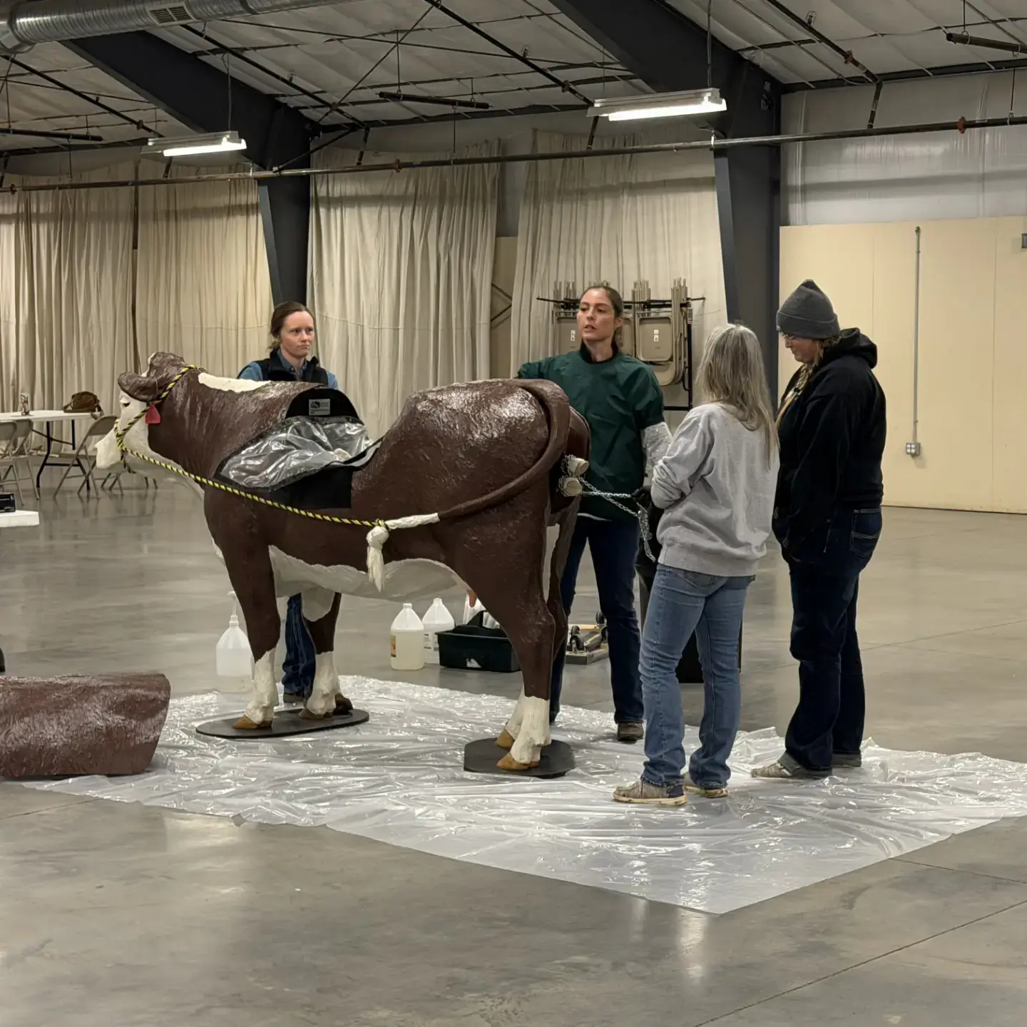 Calving school students practice pulling a stuck calf from a fiberglass model.