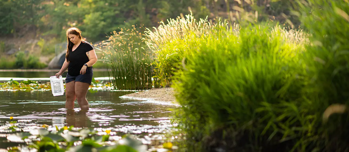 Woman wading into lake to collect samples.
