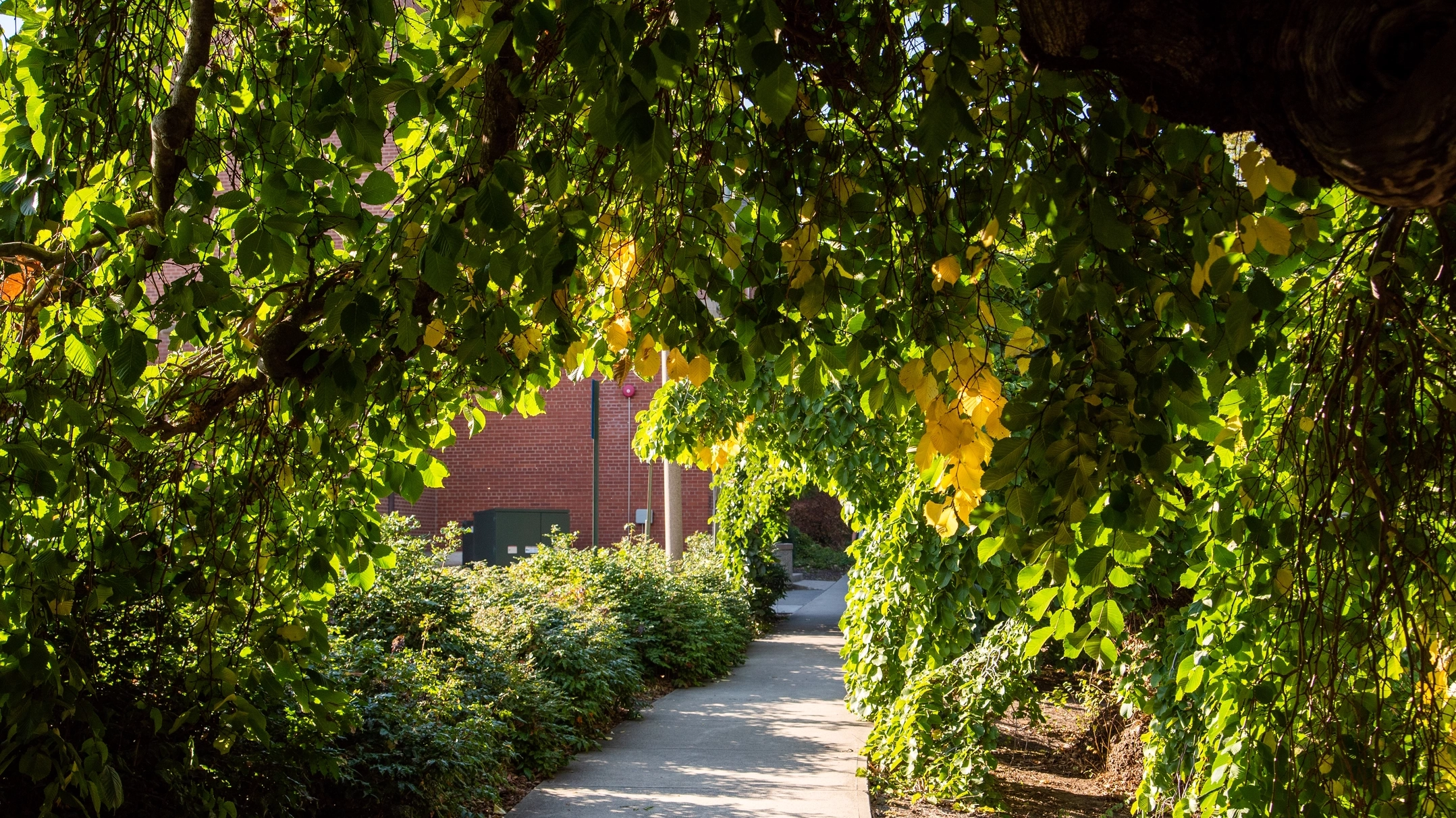 Stock Photos of Campus in the Summer