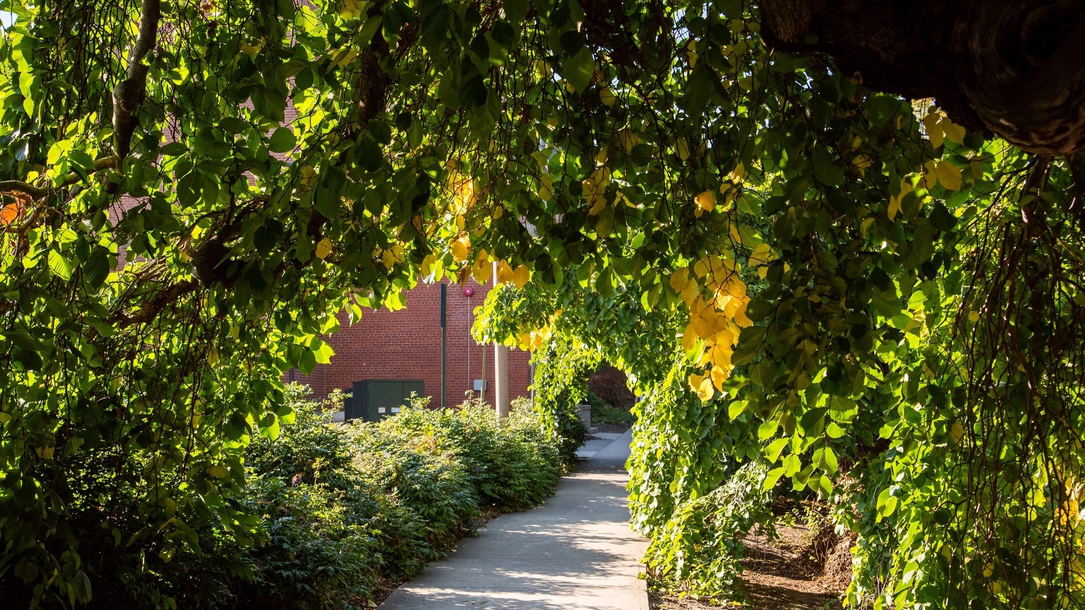 Stock Photos of Campus in the Summer