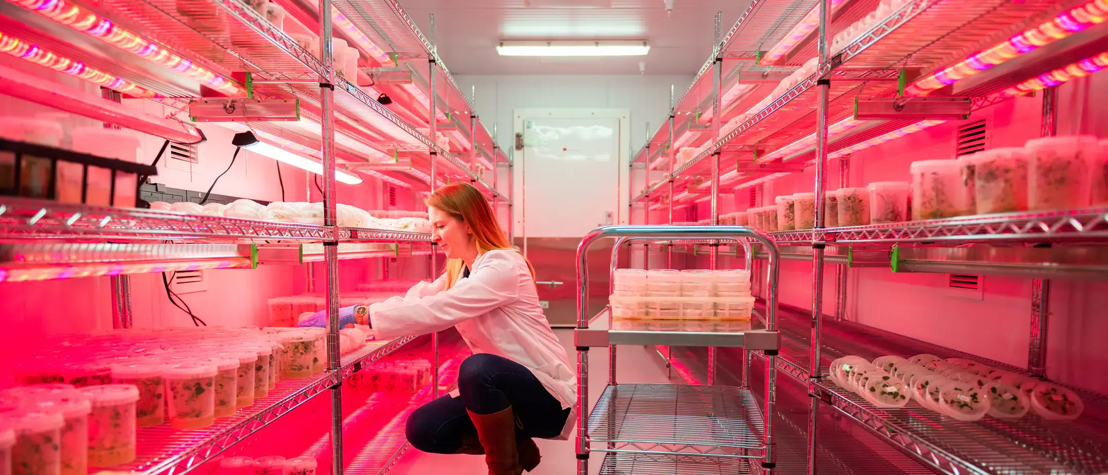 Biological engineering (M.Engr.) | University of Idaho