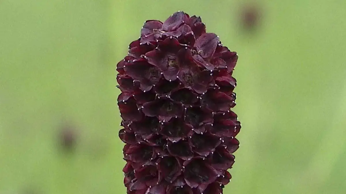 Landscapes and Gardens photos