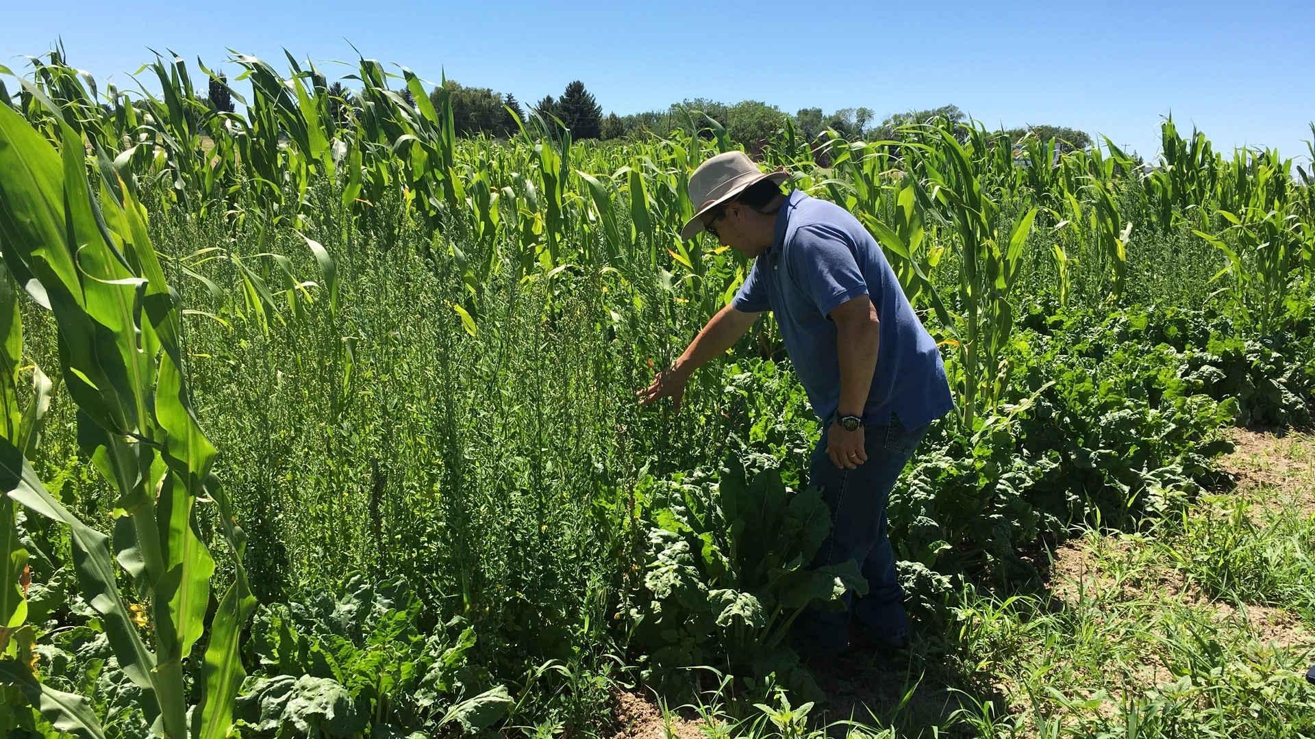 Research and Extension Center photos