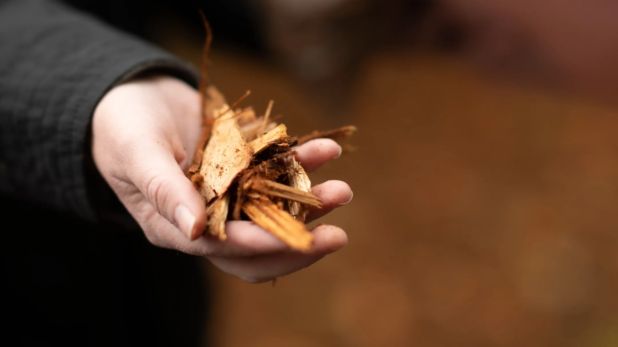 University of Idaho - Idaho District Energy Plant Steam Plant