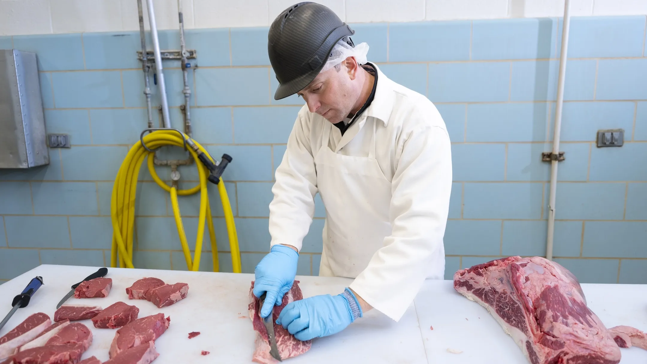 Vandal Theory - Featuring Phil Bass.
Phil Bass, associate professor of meat science, working in the butchery with a student at Vandal Brand Meats.