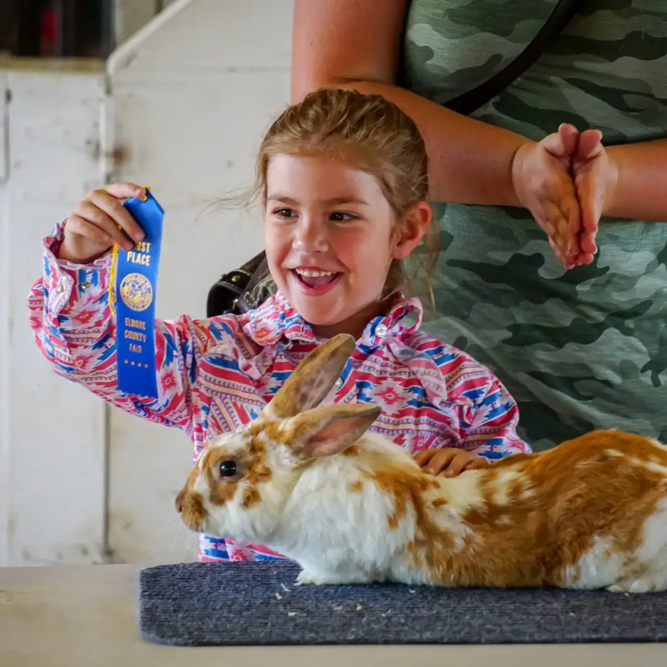 4-H photos and files located in counties