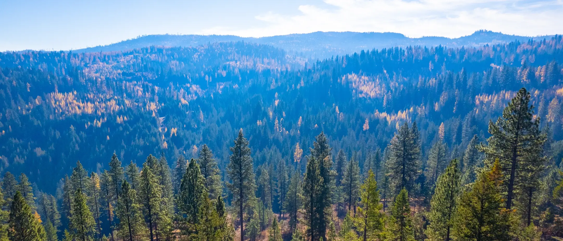 College of Natrual Resource University of Idaho Experimental Forest prescribed burn