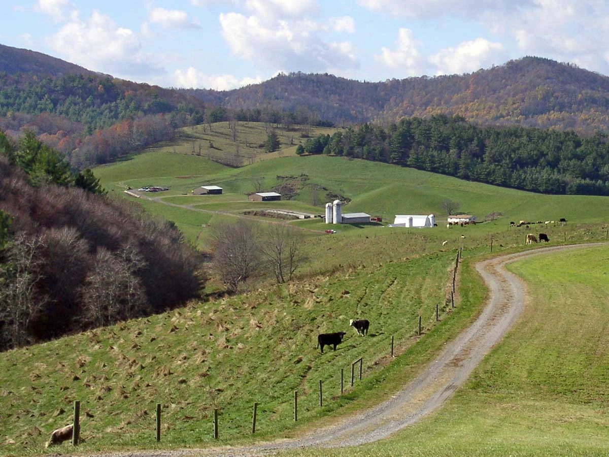 Southern blue ridge landscape of ultisols