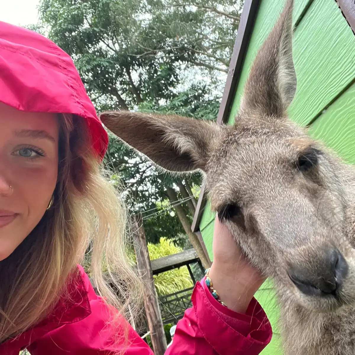 A woman petting a Kangaroo.