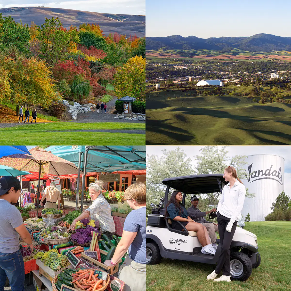 Four scenes in one. Moscow farmers market, aerial view of U of I campus, 3 students and a golf cart, three people walking in the U of I arboretum.