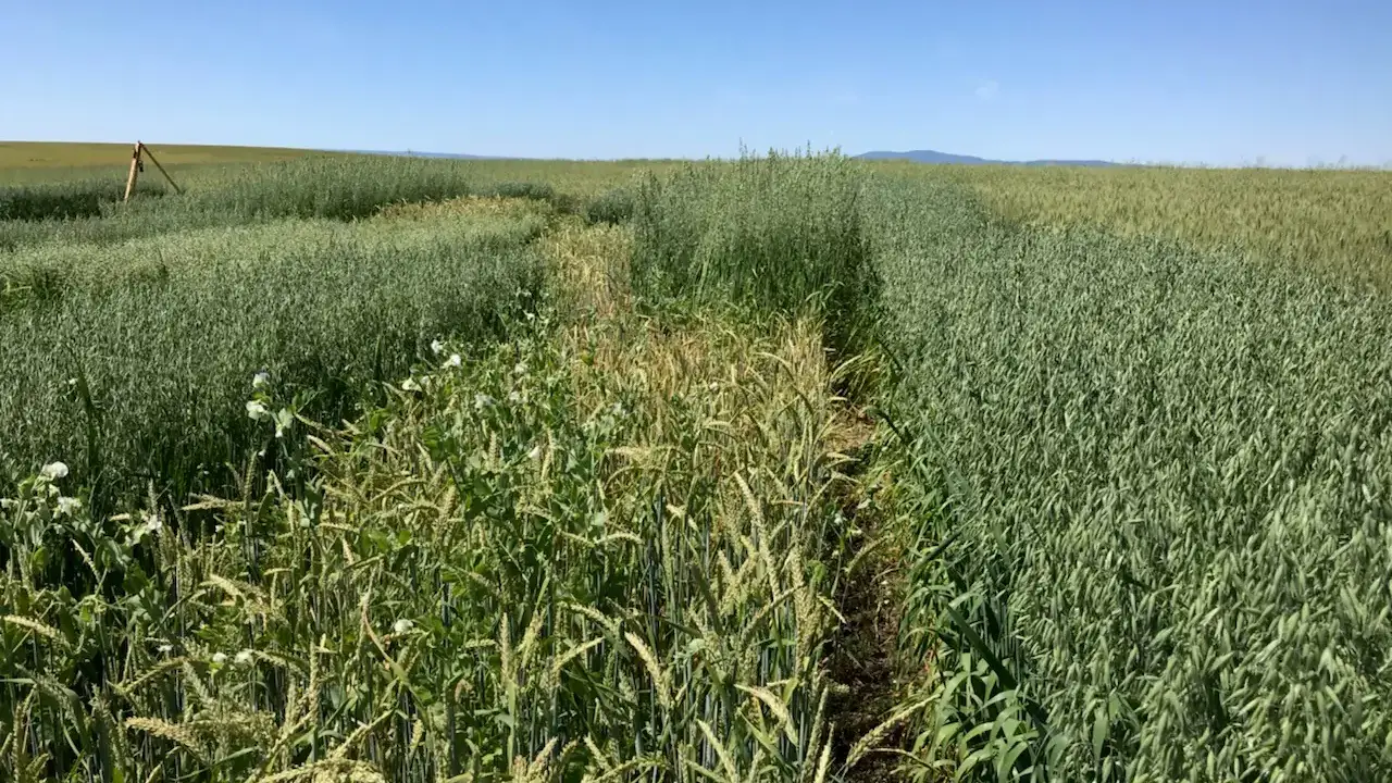 UI Extension program photos and files in counties