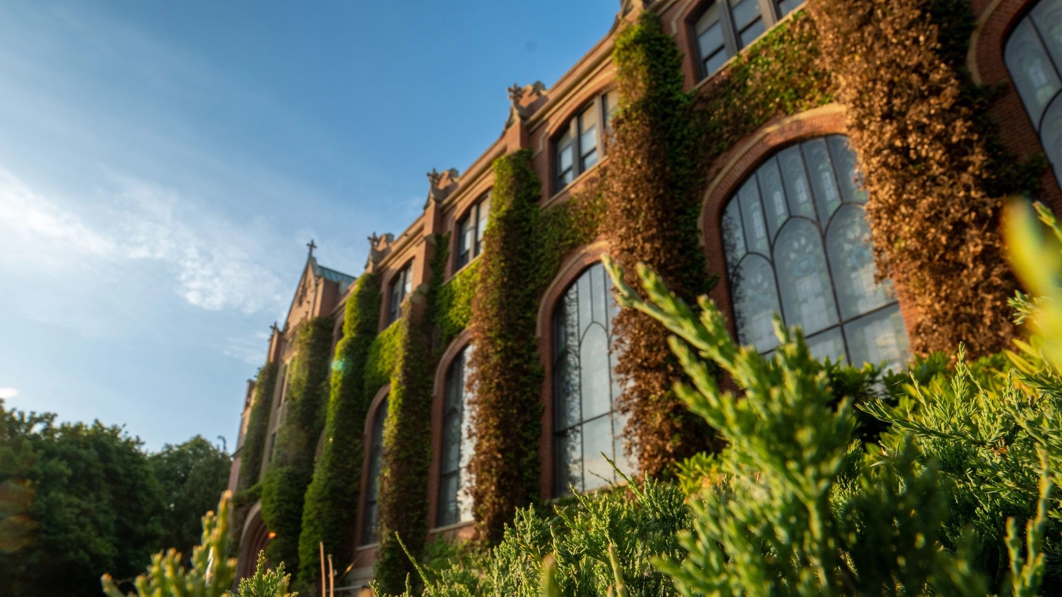 Seasonal campus scenery spring stock.