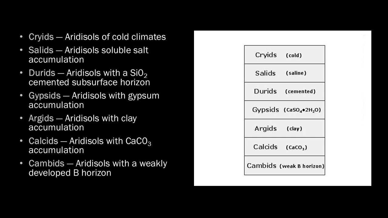 1200x900-aridisols-diagram-suborder.jpg