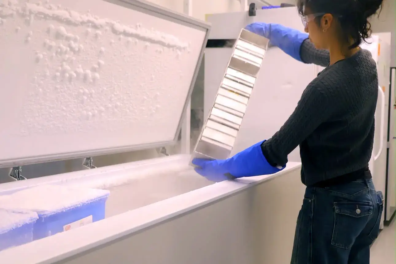 A person wearing gloves and goggles handles a metal rack over an open freezer.