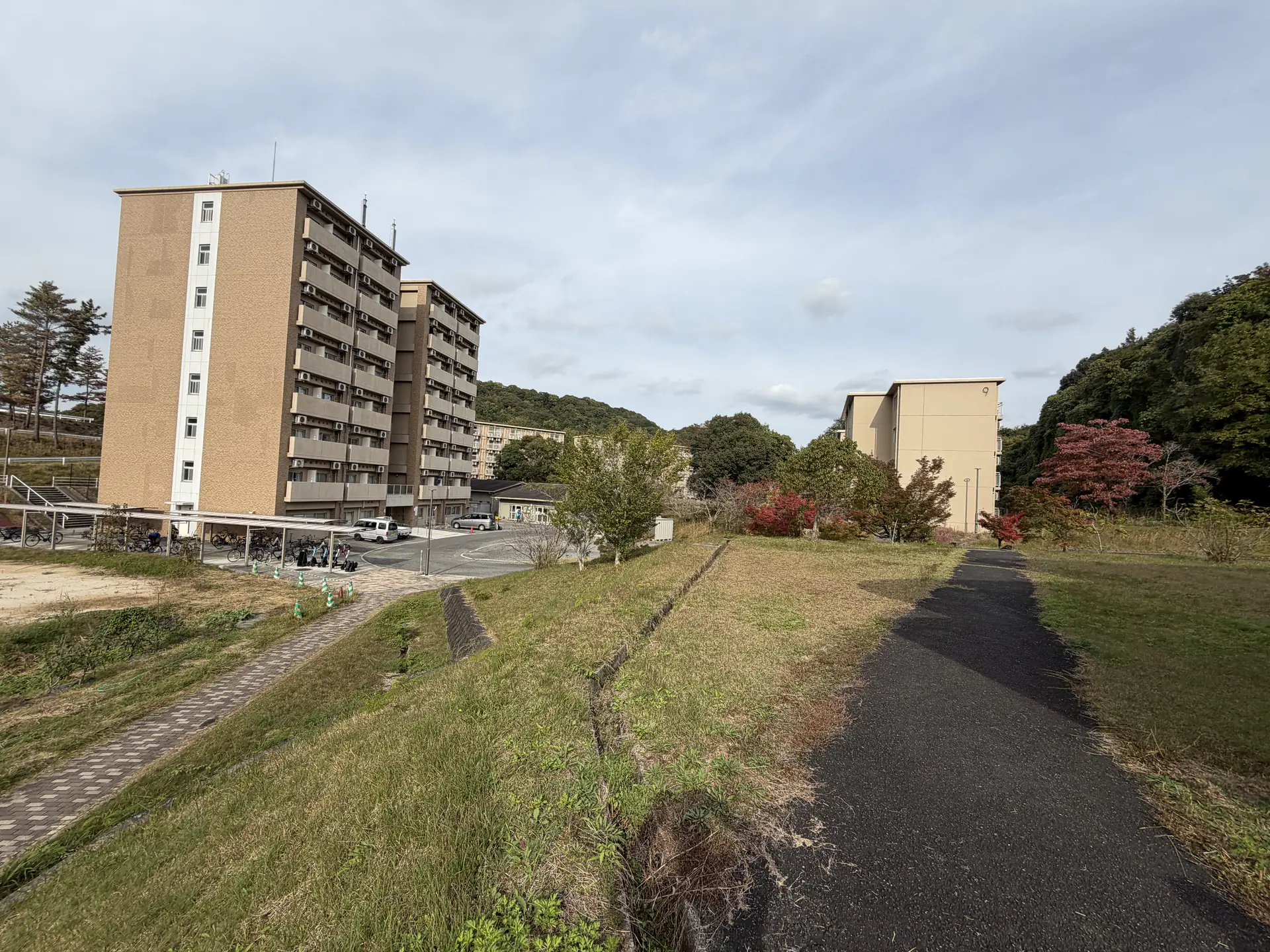 A walking path through HU lawn toward dorms.