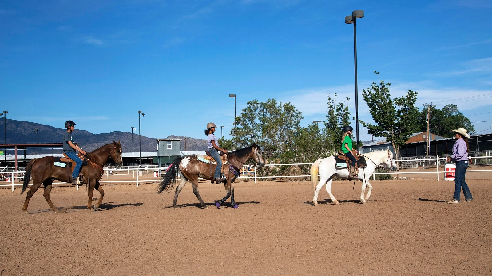 4h shooting sports and horse