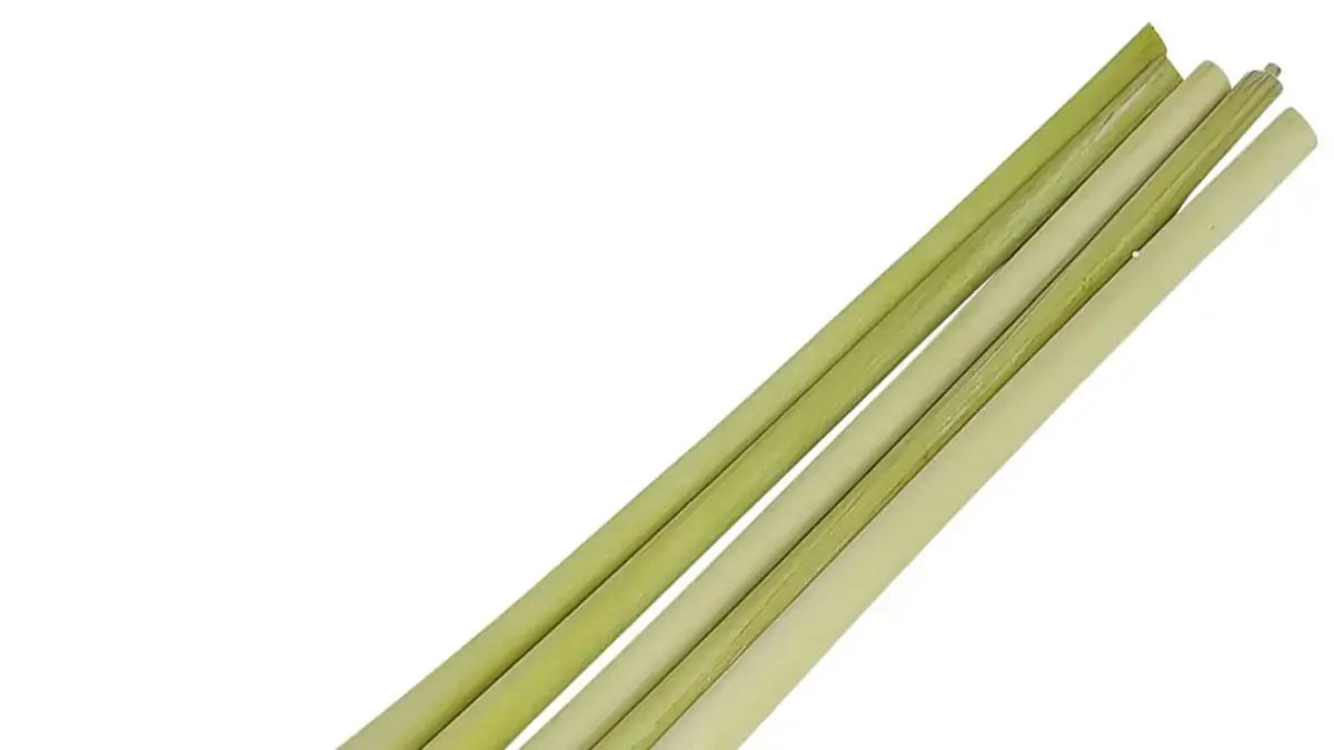 Landscapes and Gardens photos