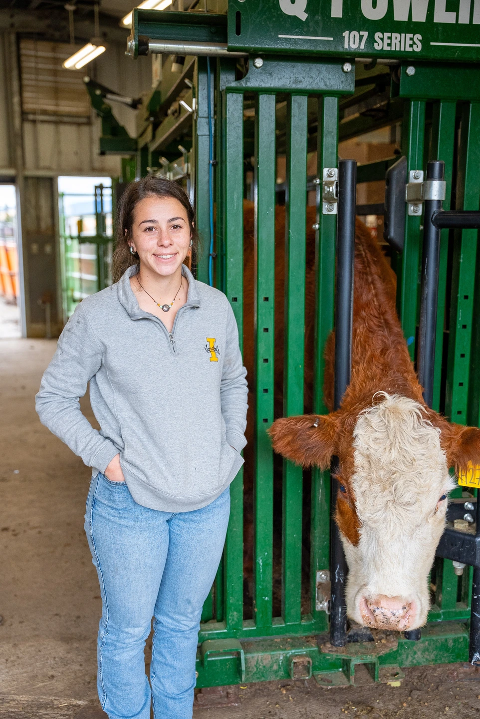 Emma Macon, in jeans and sweater, stands next to a cow in a steel chute.