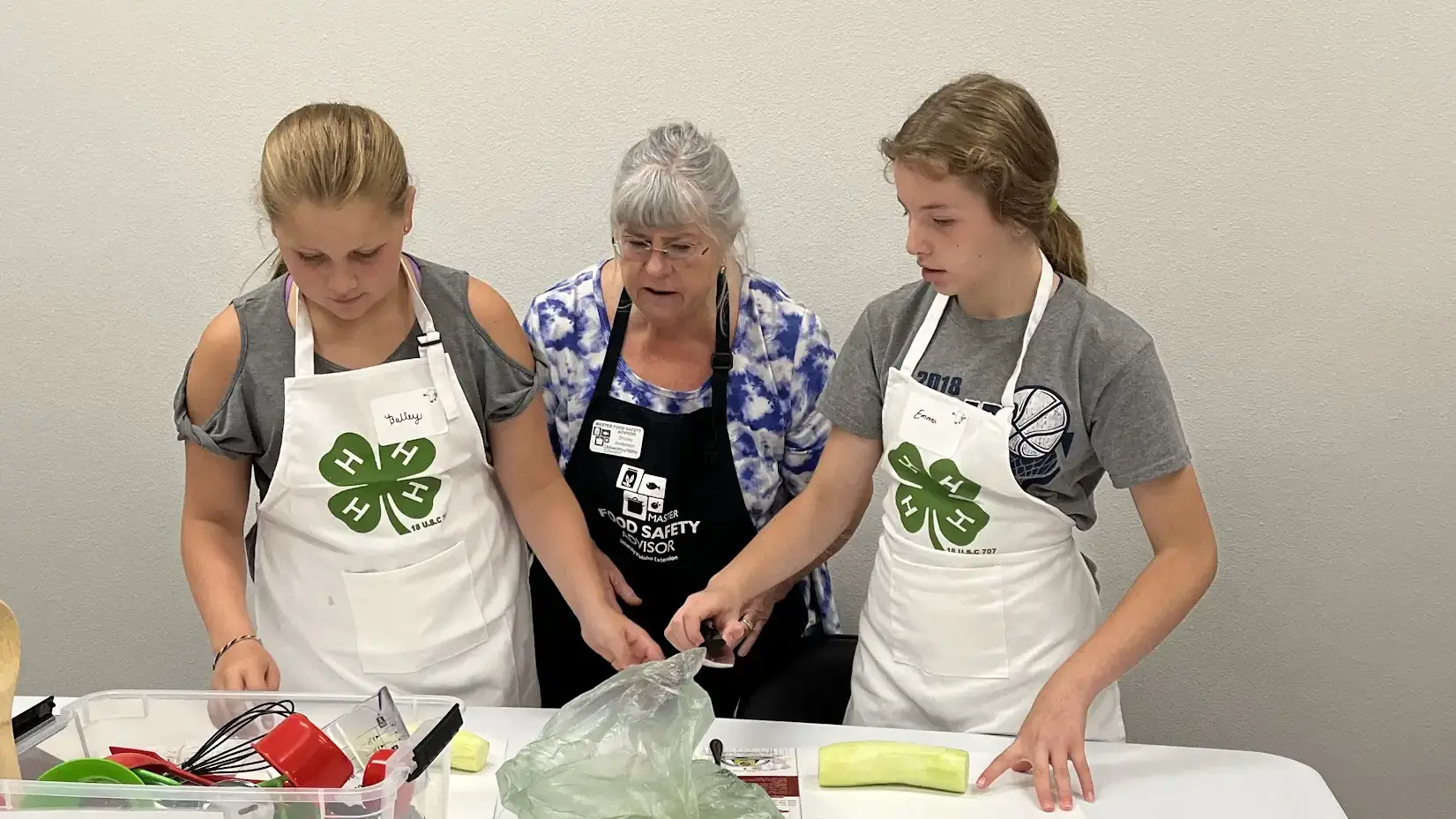 4-H photos and files located in counties