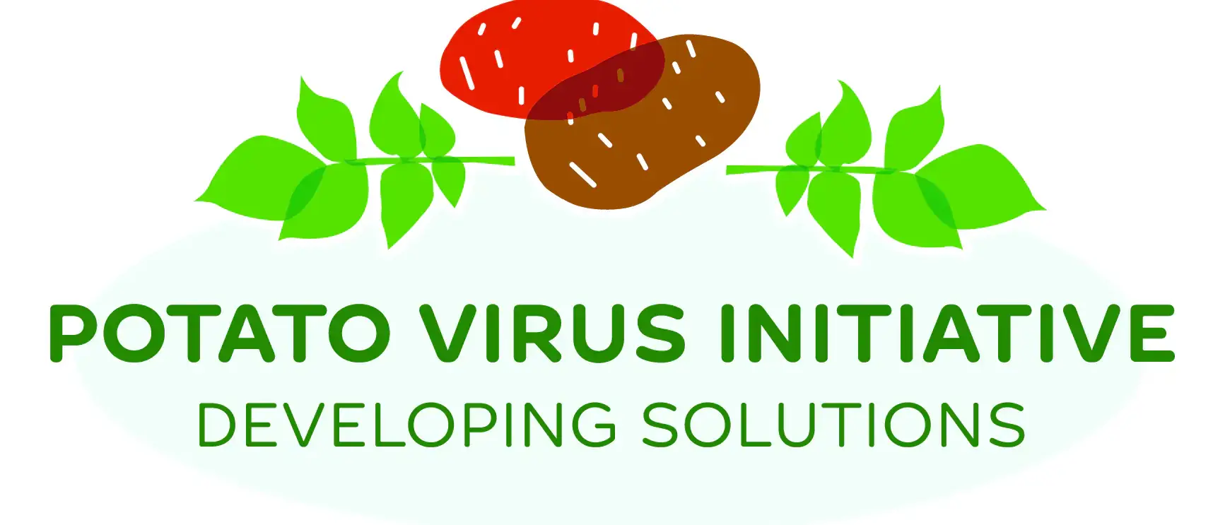 Potato Virus Initiative