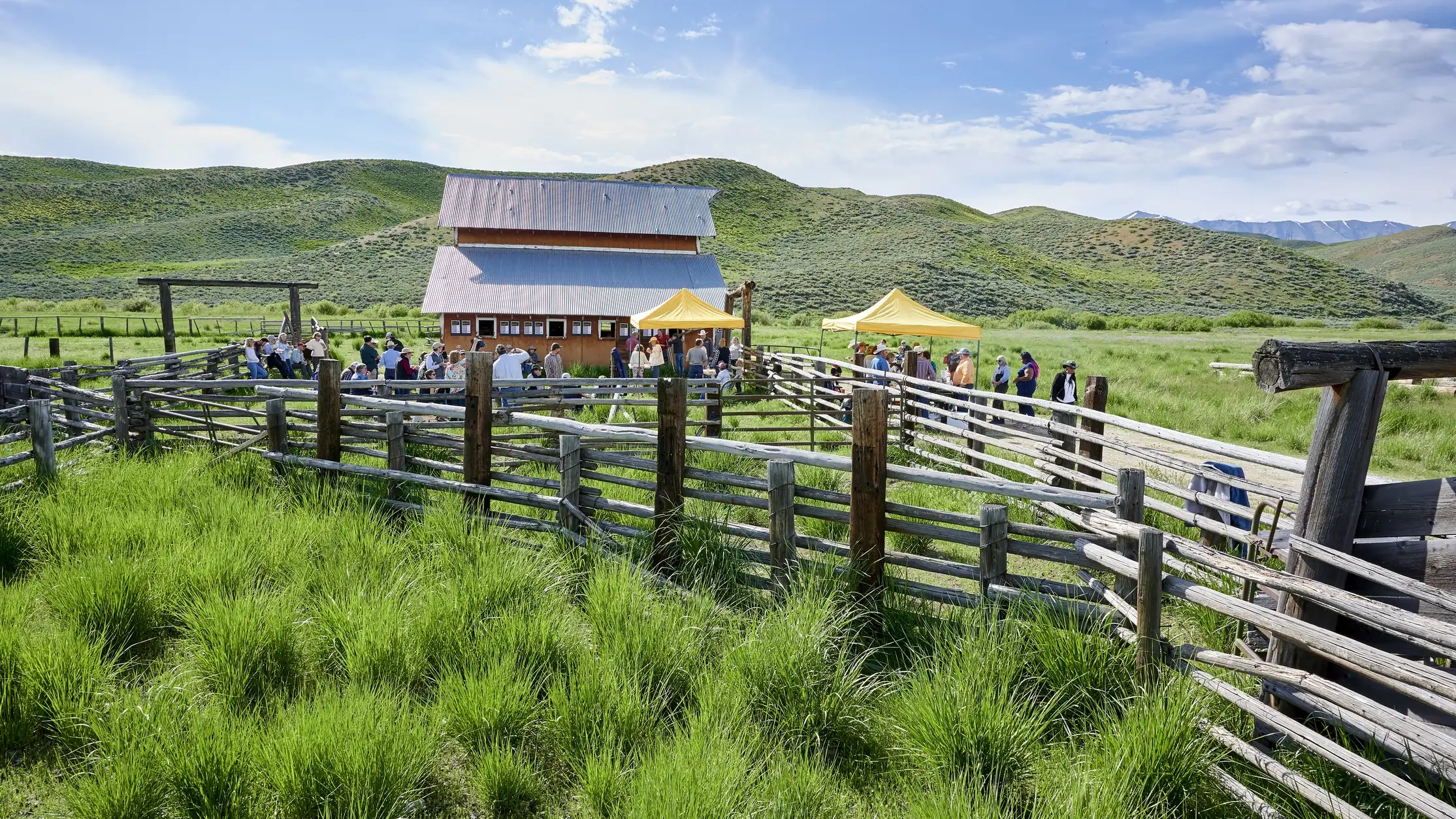 June 1st Sagebrush Saturday