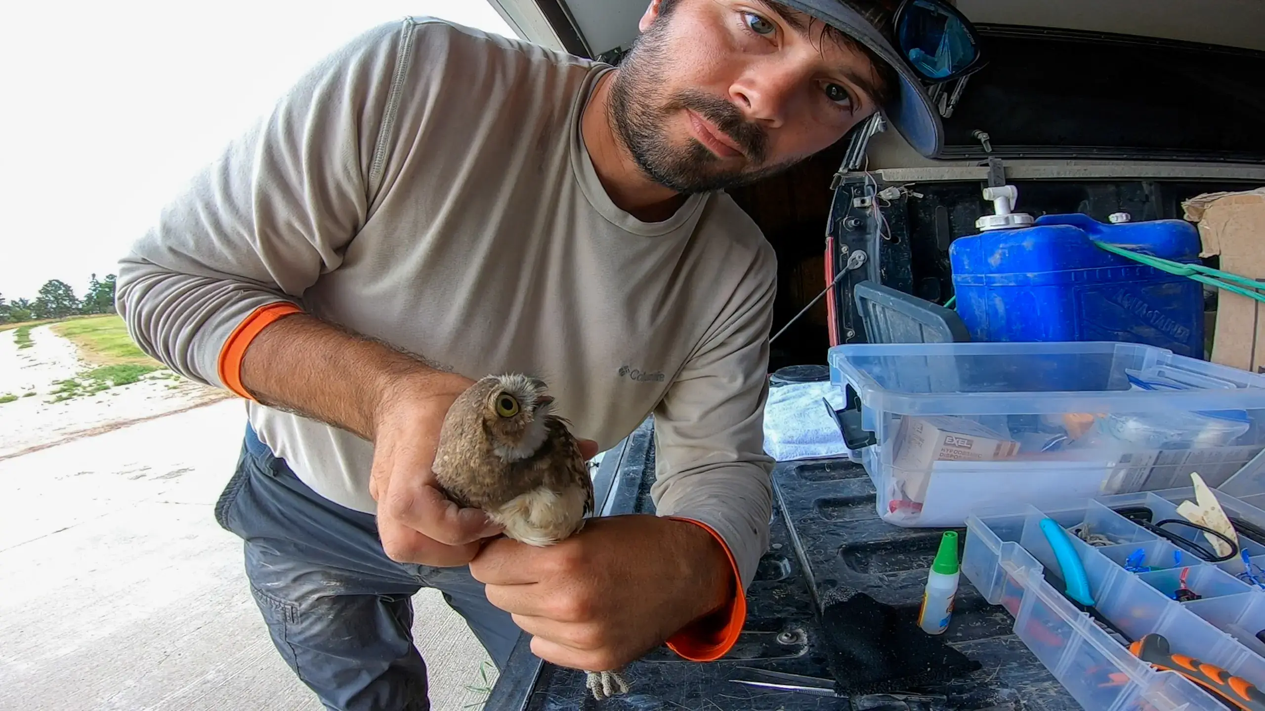 Anthony Locatelli holding an owl to prepare it for tagging.