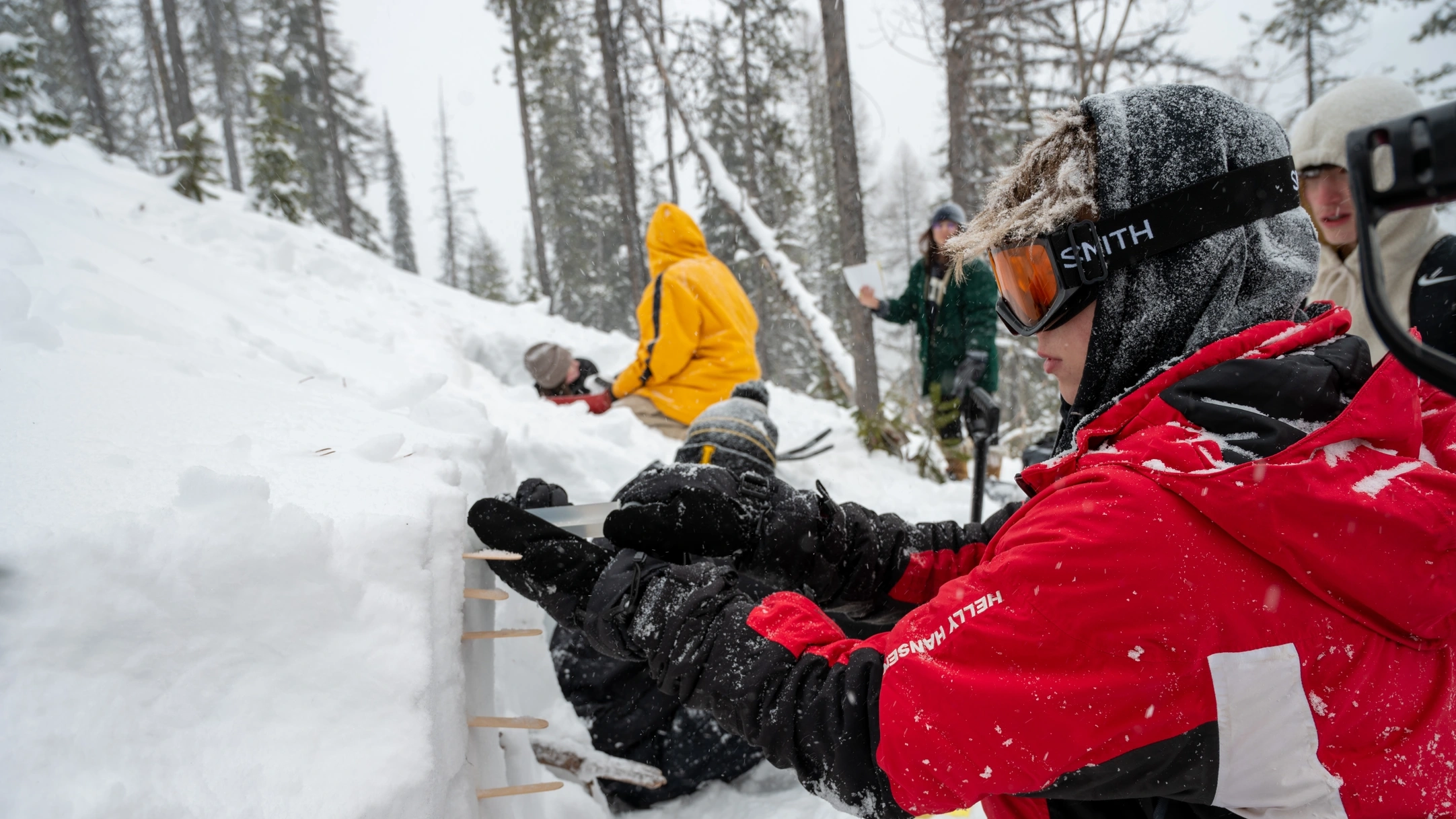 A student takes a snow sample for snow-water equivalency in a snow pit