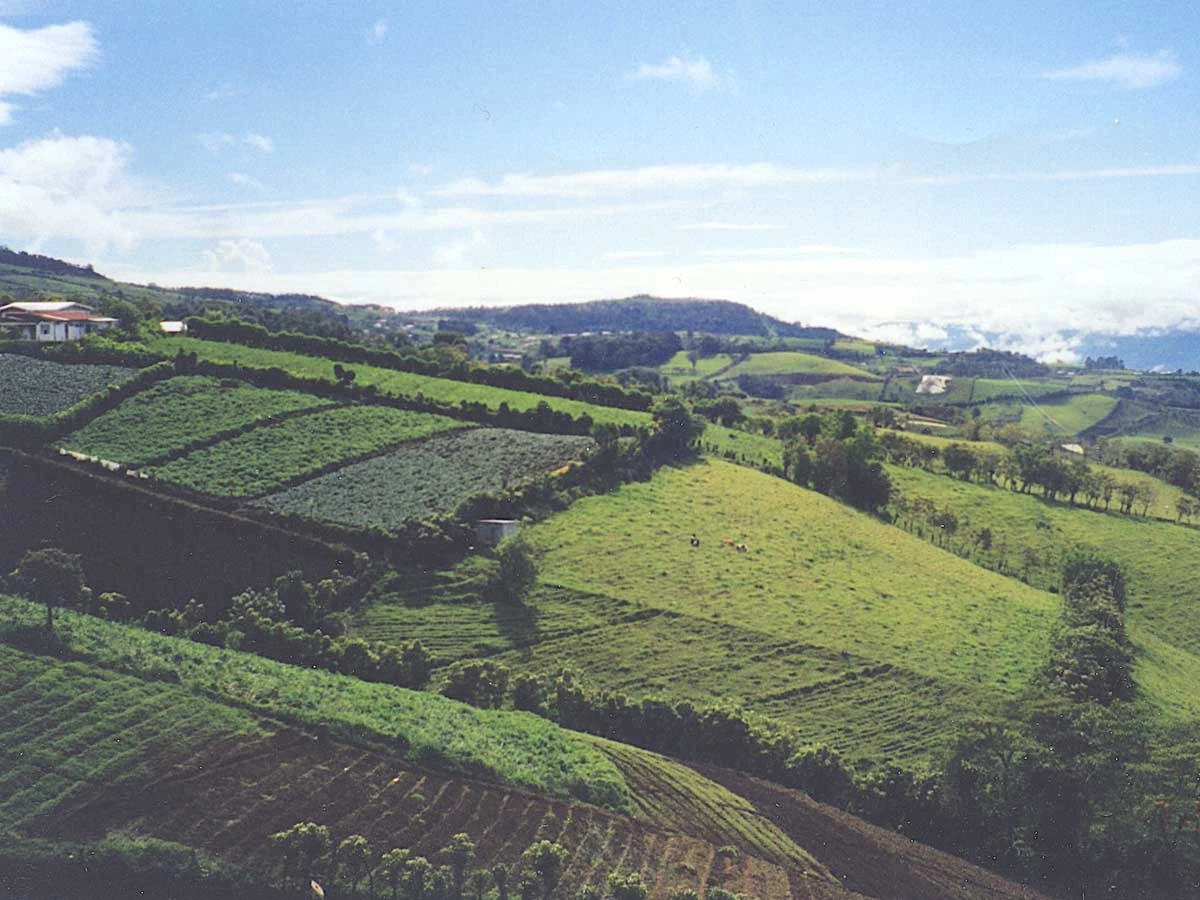 A scenic view of fields on a hillside with mountains in the background