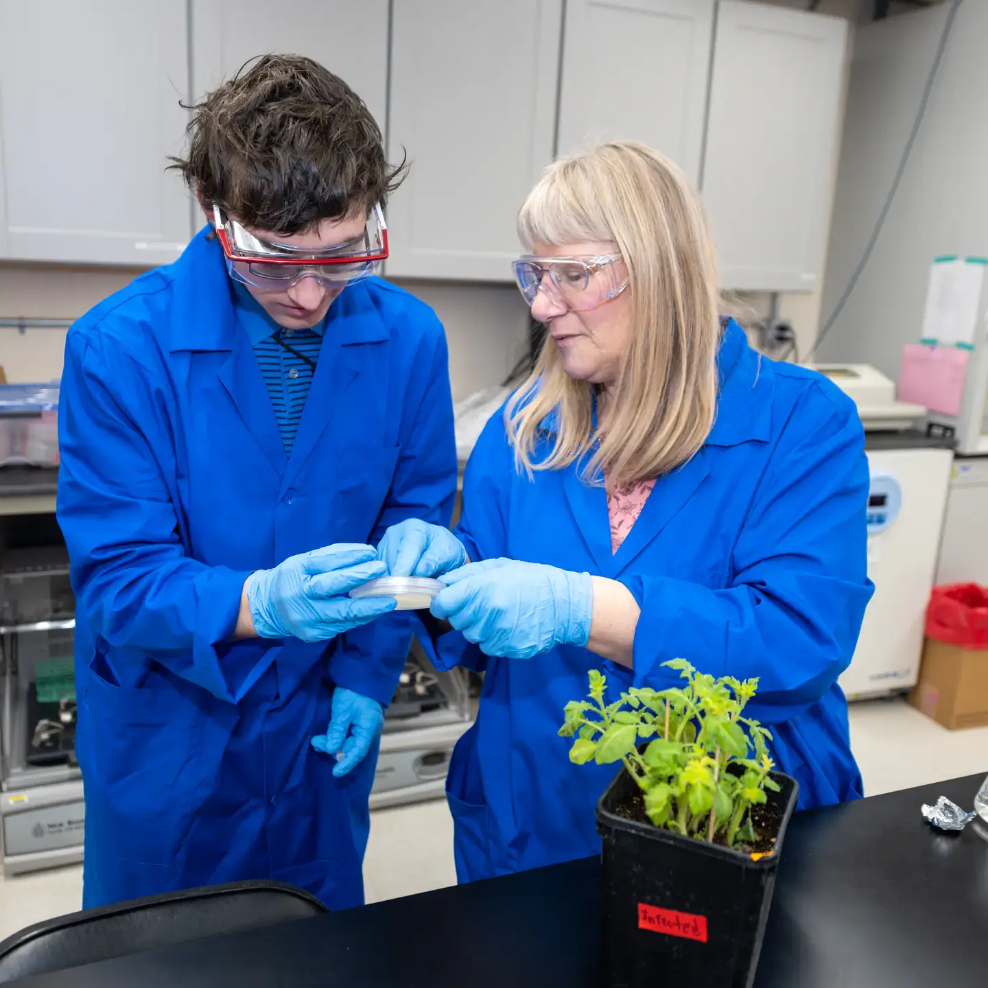 Researchers from the College of Agricultural and Life Sciences, and the College of Science, have teamed up to pioneer the use of computer modeling to develop new classes of fungicides for use in potato production. Pictured are Plant Sciences undergraduate student Brogan Bates and Brenda Schroeder, associate research professor and plant pathologist.