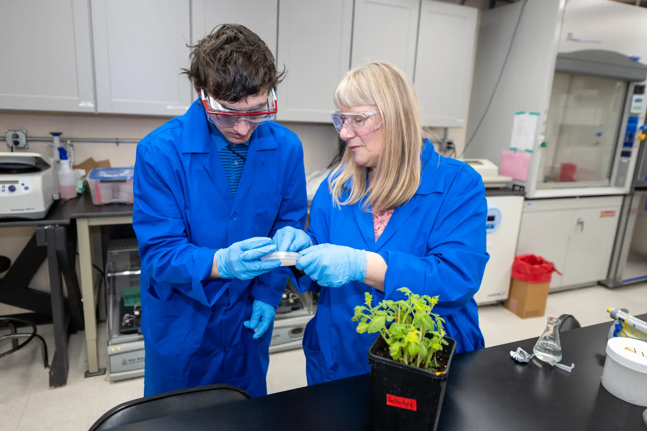 Researchers studying plant samples in a lab.